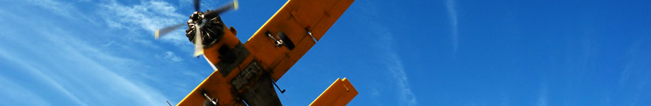 SANTA SUSANNA Rotating Header Image