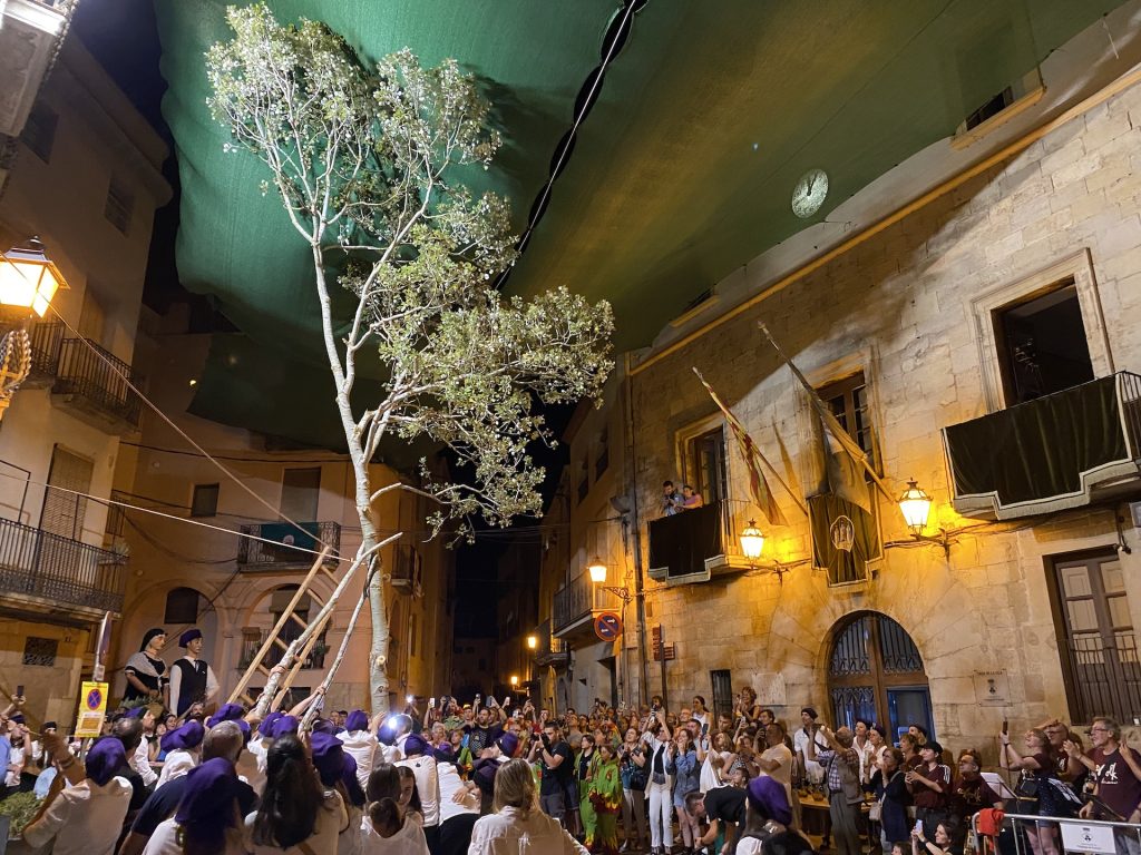 festa-del-pi-centelles